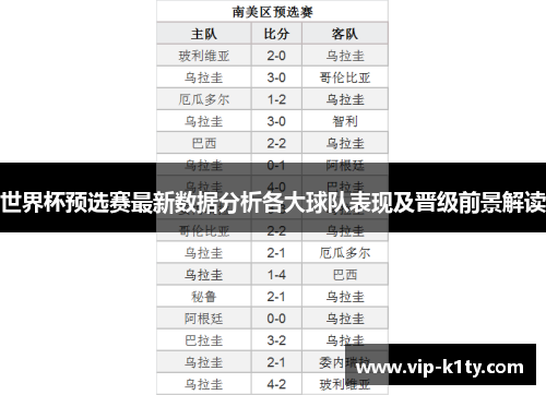 世界杯预选赛最新数据分析各大球队表现及晋级前景解读