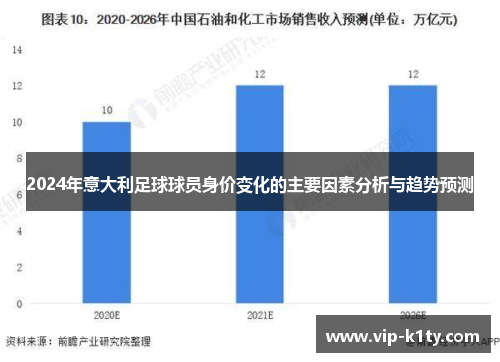2024年意大利足球球员身价变化的主要因素分析与趋势预测