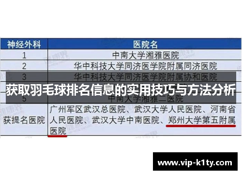 获取羽毛球排名信息的实用技巧与方法分析