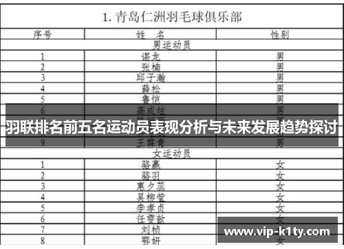 羽联排名前五名运动员表现分析与未来发展趋势探讨