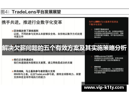 解决欠薪问题的五个有效方案及其实施策略分析