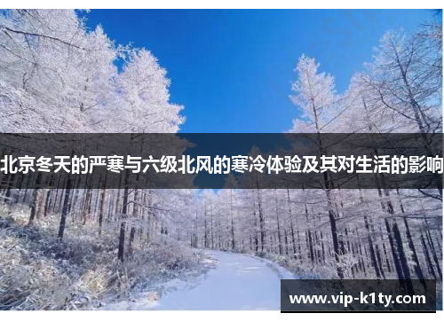北京冬天的严寒与六级北风的寒冷体验及其对生活的影响