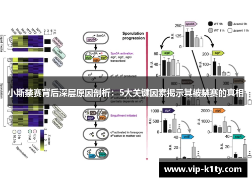 小斯禁赛背后深层原因剖析：5大关键因素揭示其被禁赛的真相