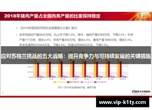 应对苏格兰挑战的五大战略：提升竞争力与可持续发展的关键措施