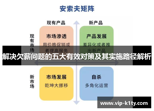 解决欠薪问题的五大有效对策及其实施路径解析