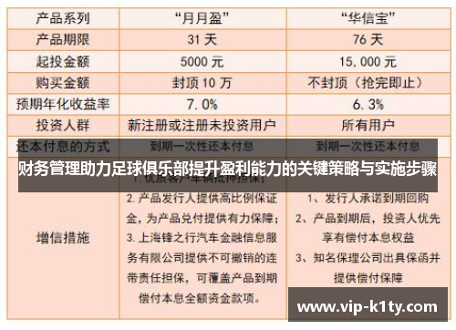 财务管理助力足球俱乐部提升盈利能力的关键策略与实施步骤 财务管理助力足球俱乐部提升盈利能力的关键策略与实施步骤